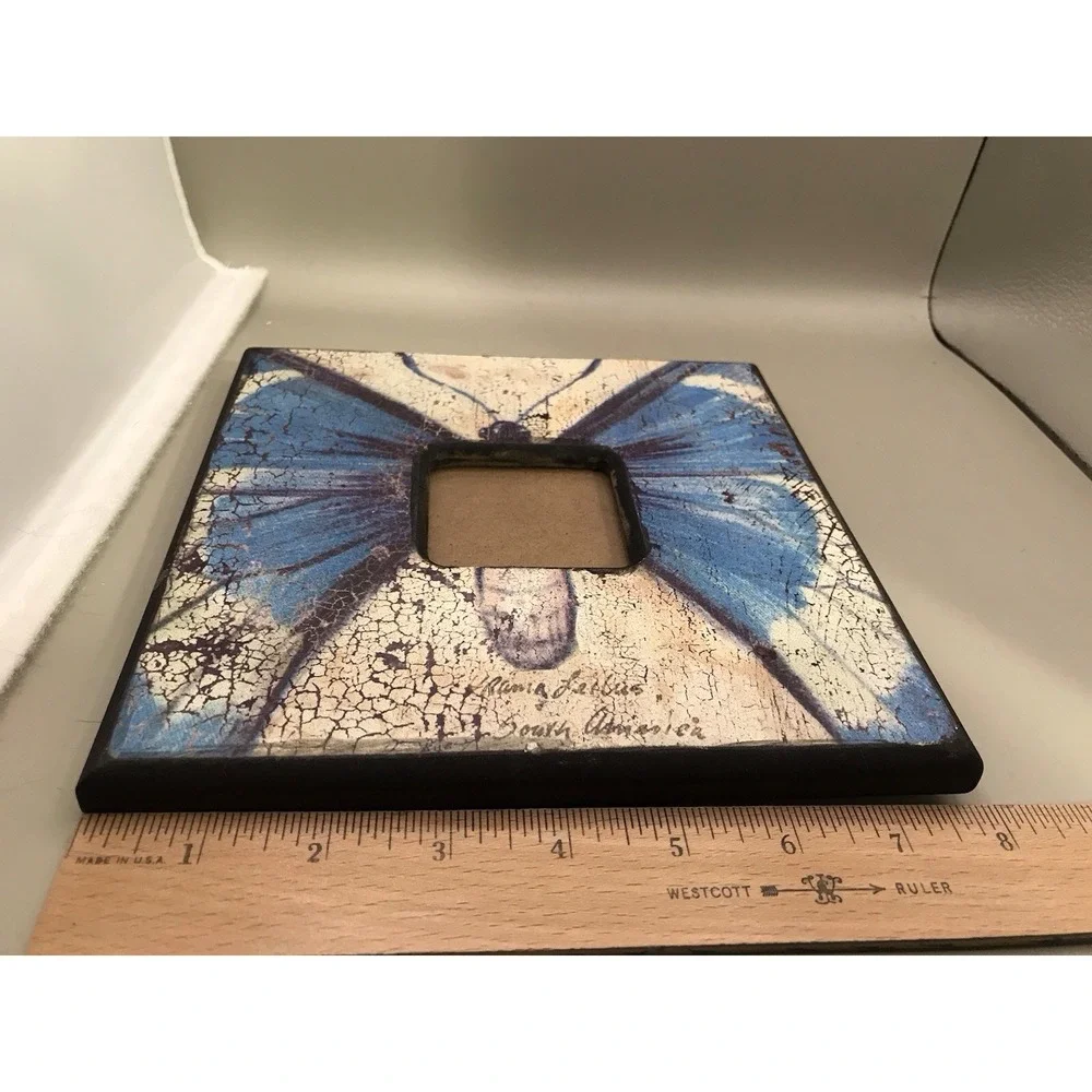Picture Frame From South America Butterfly 2.5x2.5‎ Picture Opening 8x8 Frame